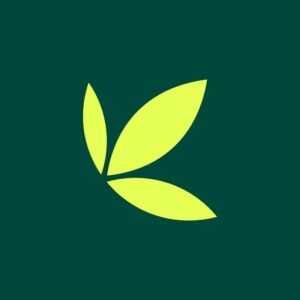Bamboo logo